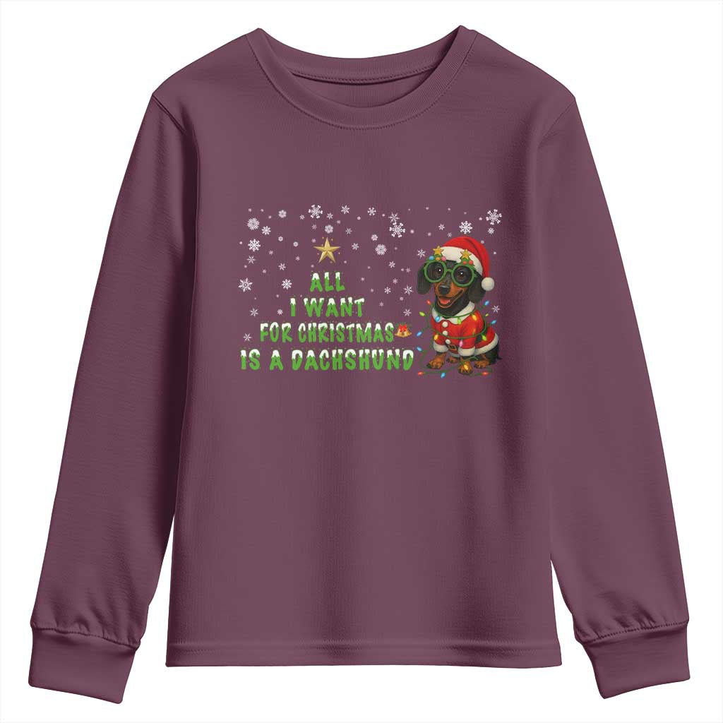 Christmas Dachshund Youth Sweatshirt All I Want For Christmas Is A Dachshund - Wonder Print Shop