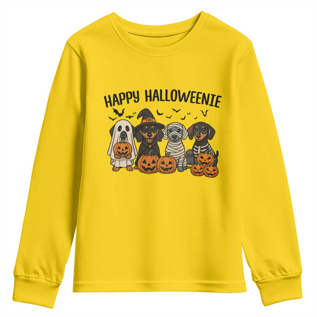 Funny Halloween Dachshund Youth Sweatshirt Happy Halloweenie - Wonder Print Shop