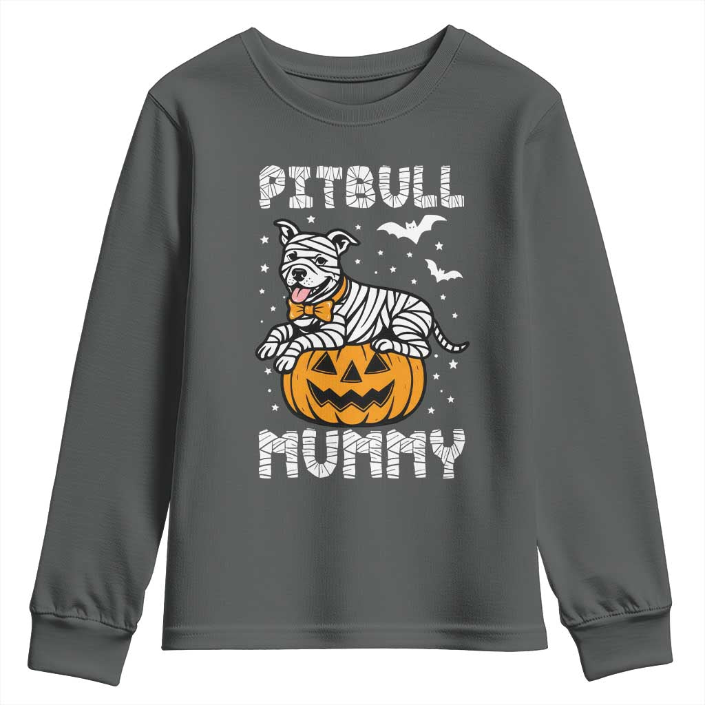 Halloween Dog Lover Youth Sweatshirt Funny Pitbull Mummy - Wonder Print Shop