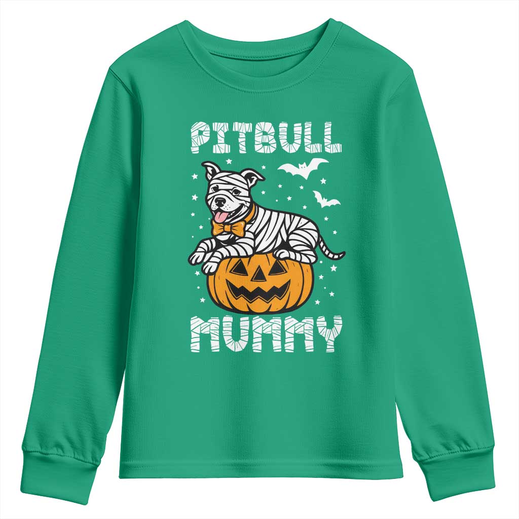 Halloween Dog Lover Youth Sweatshirt Funny Pitbull Mummy - Wonder Print Shop