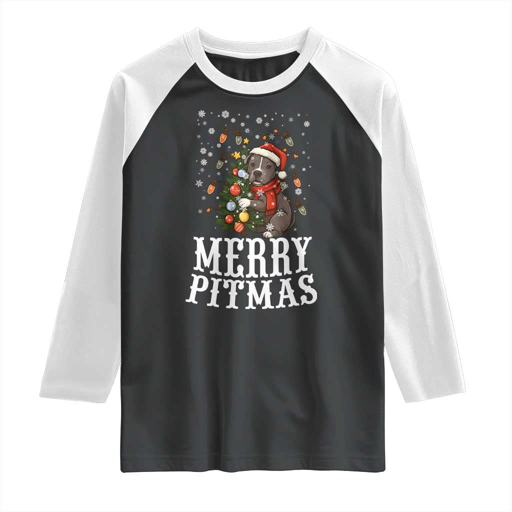 Christmas Pitbull Raglan Shirt Funny Merry Pitmas Tree Hug - Wonder Print Shop