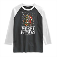 Christmas Pitbull Raglan Shirt Funny Merry Pitmas Tree Hug - Wonder Print Shop