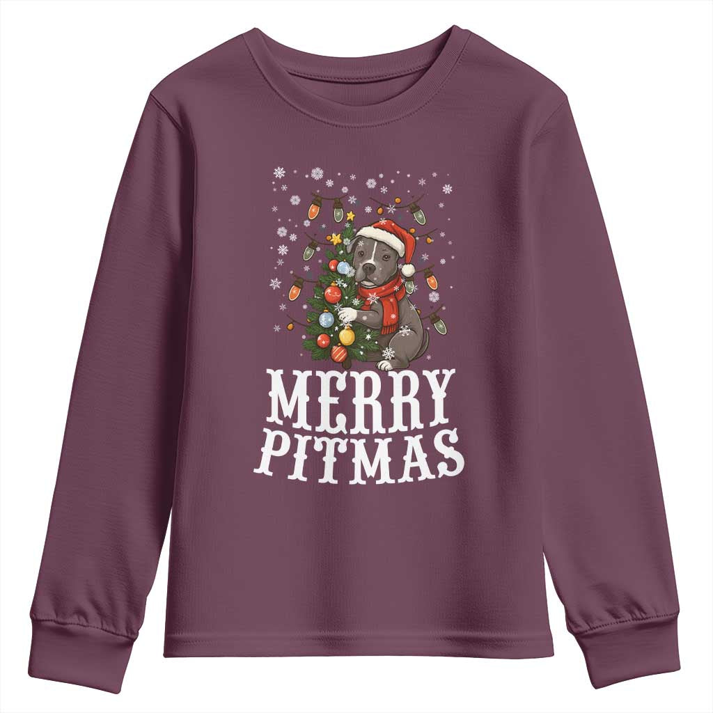 Christmas Pitbull Youth Sweatshirt Funny Merry Pitmas Tree Hug - Wonder Print Shop