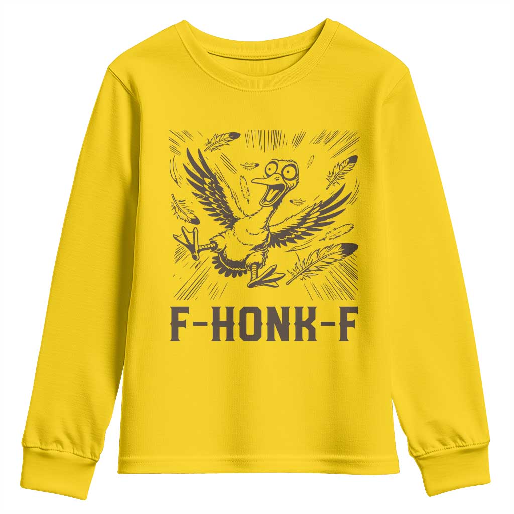 F Honk F Goose Lover Youth Sweatshirt Funny Silly Chaotic Gift - Wonder Print Shop