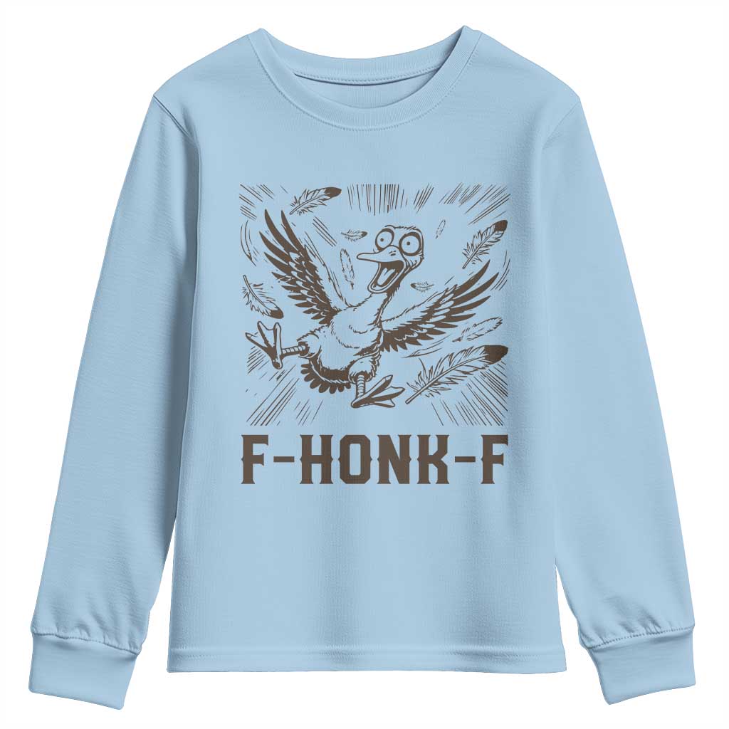 F Honk F Goose Lover Youth Sweatshirt Funny Silly Chaotic Gift - Wonder Print Shop