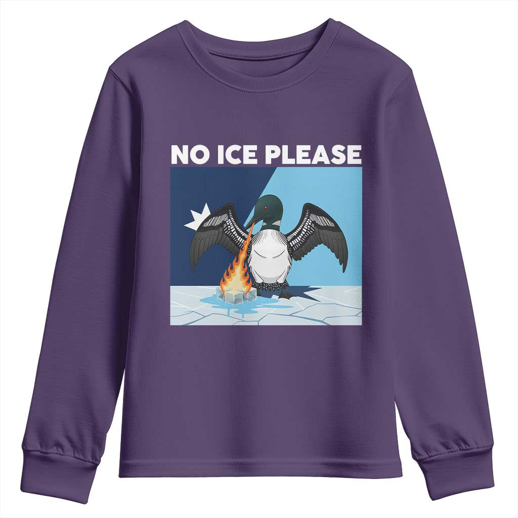 Funny Fire Breathing Loon Youth Sweatshirt No Ice Please
