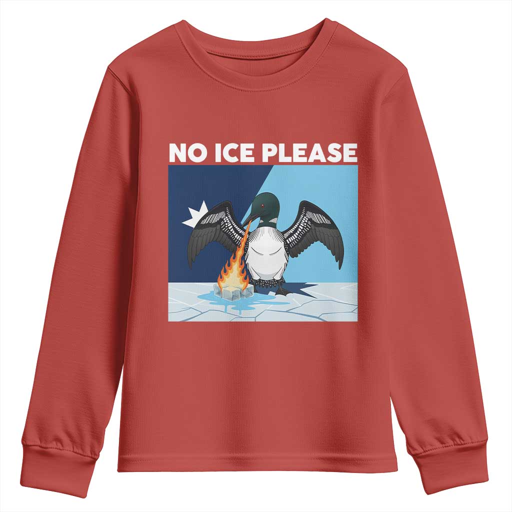 Funny Fire Breathing Loon Youth Sweatshirt No Ice Please