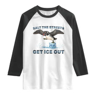 Minnesota Loon Salt The Streets Get Ice Out Raglan Shirt