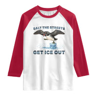 Minnesota Loon Salt The Streets Get Ice Out Raglan Shirt