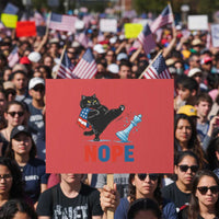 Funny Black Cat Kicks The Icy Chess Piece Nope Protest Sign
