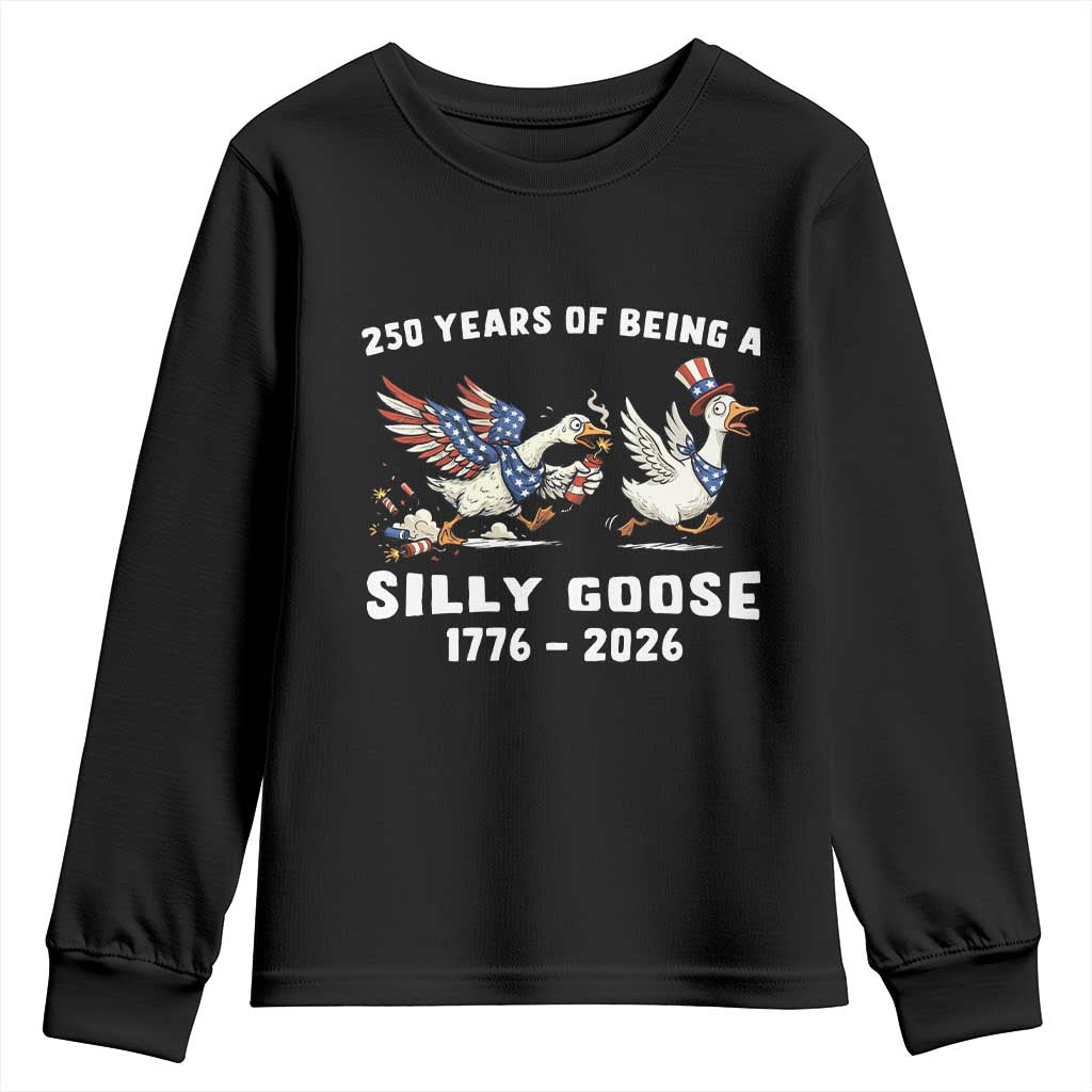 Funny Patriotic Goose Youth Sweatshirt 250 Years Of Being A Silly Goose