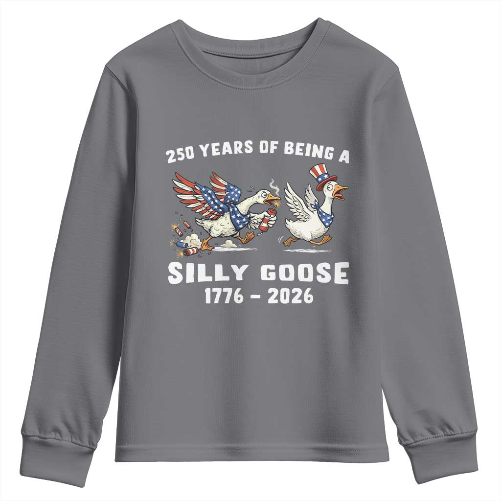 Funny Patriotic Goose Youth Sweatshirt 250 Years Of Being A Silly Goose