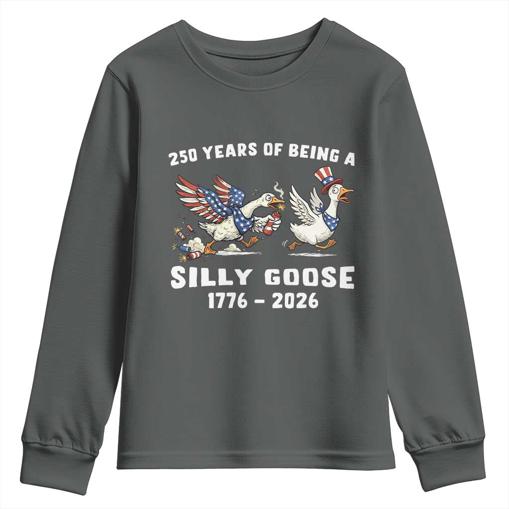 Funny Patriotic Goose Youth Sweatshirt 250 Years Of Being A Silly Goose