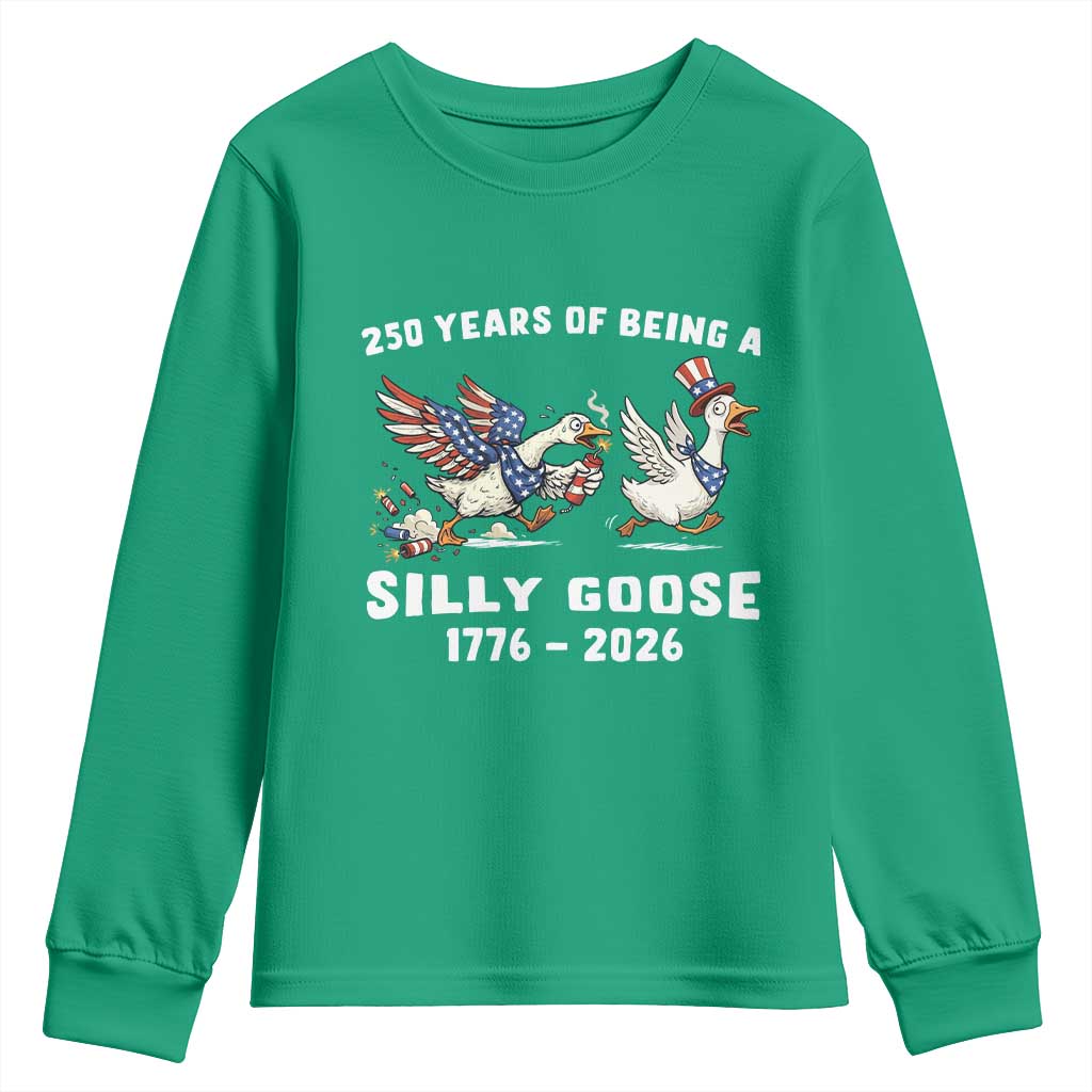 Funny Patriotic Goose Youth Sweatshirt 250 Years Of Being A Silly Goose
