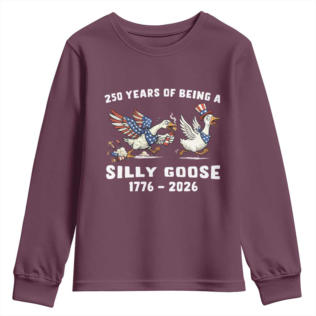 Funny Patriotic Goose Youth Sweatshirt 250 Years Of Being A Silly Goose