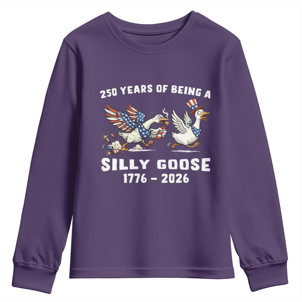 Funny Patriotic Goose Youth Sweatshirt 250 Years Of Being A Silly Goose