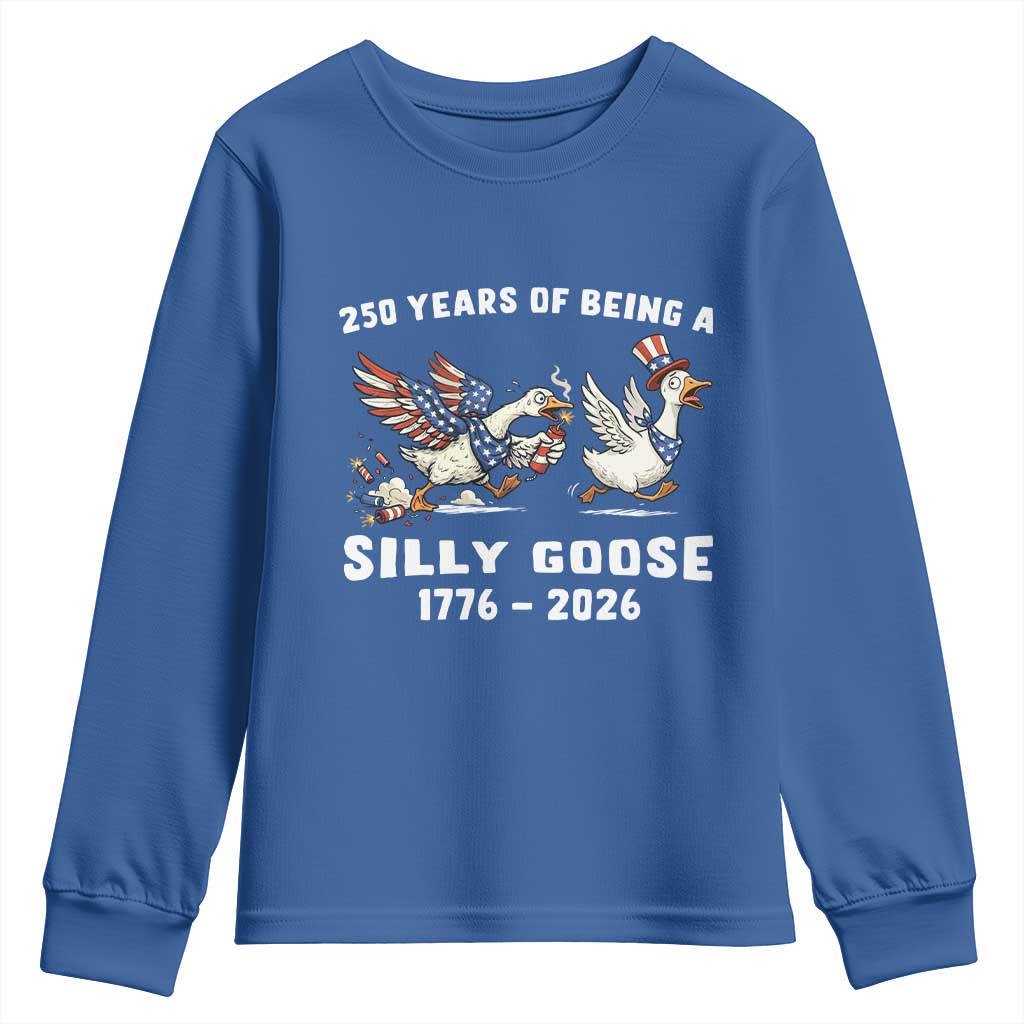 Funny Patriotic Goose Youth Sweatshirt 250 Years Of Being A Silly Goose