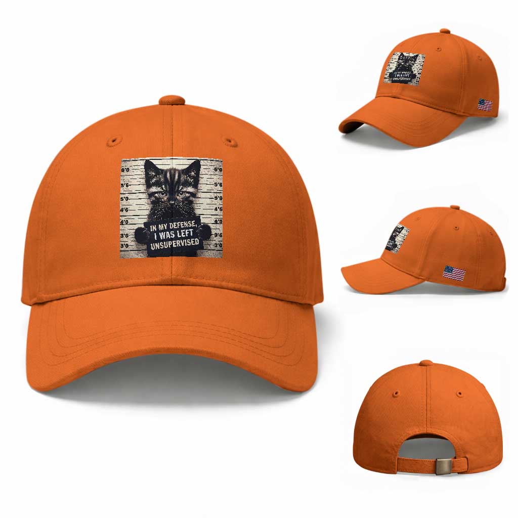 Funny Bad Cat Attitude Baseball Cap In My Defense I Was Left Unsupervised