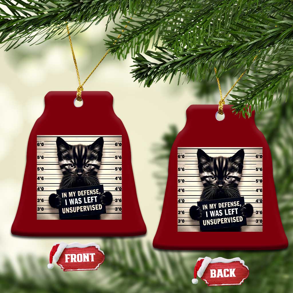 Funny Bad Cat Attitude Ceramic Ornament In My Defense I Was Left Unsupervised
