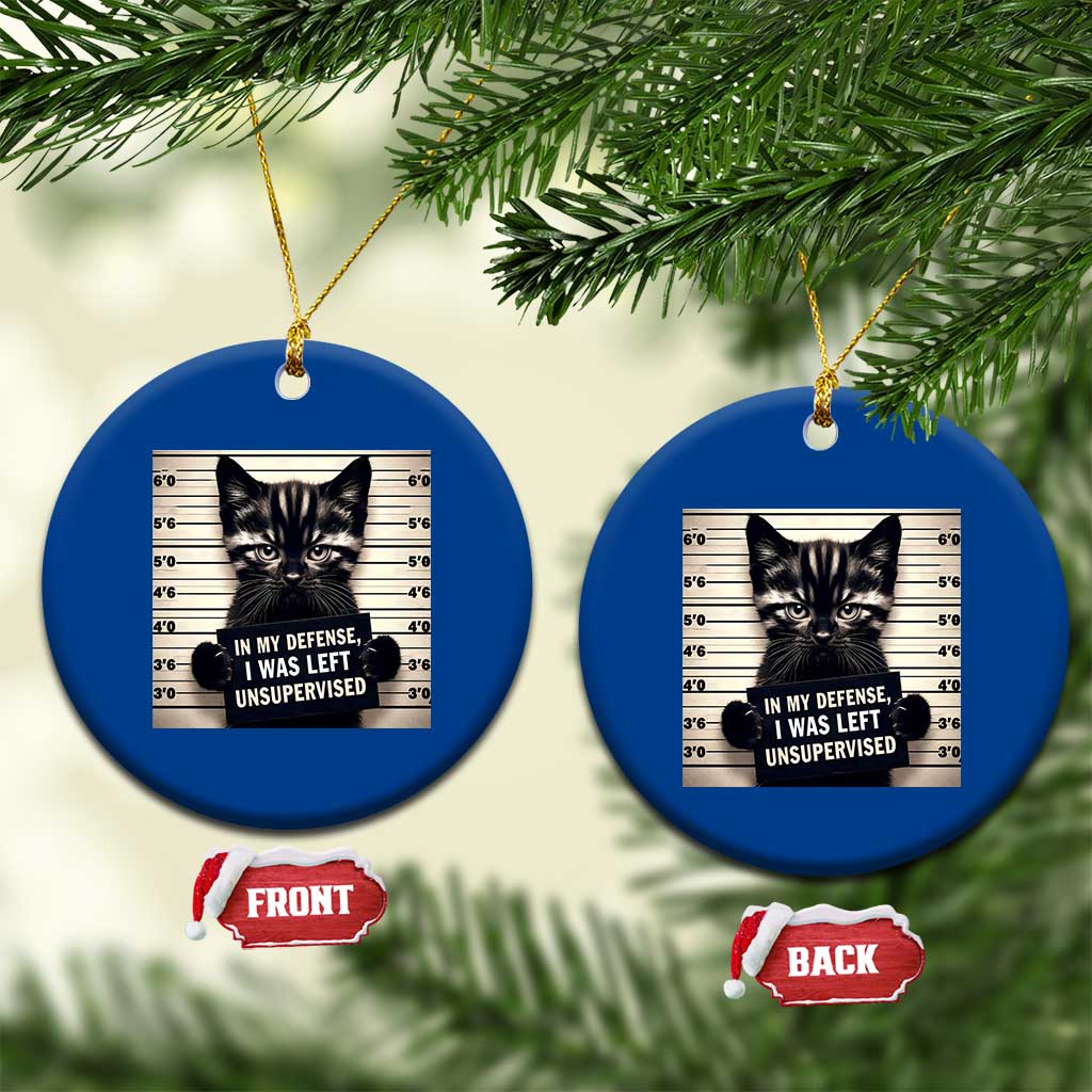 Funny Bad Cat Attitude Ceramic Ornament In My Defense I Was Left Unsupervised