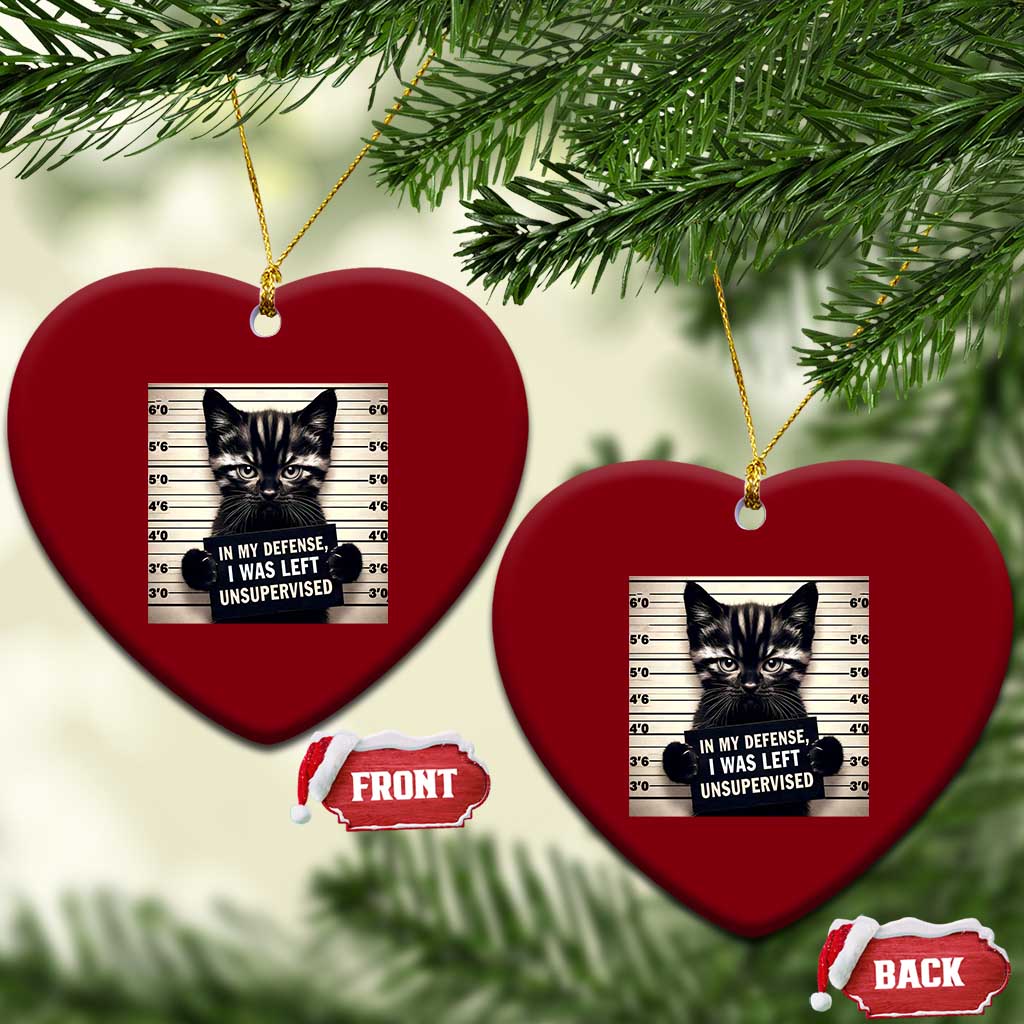 Funny Bad Cat Attitude Ceramic Ornament In My Defense I Was Left Unsupervised
