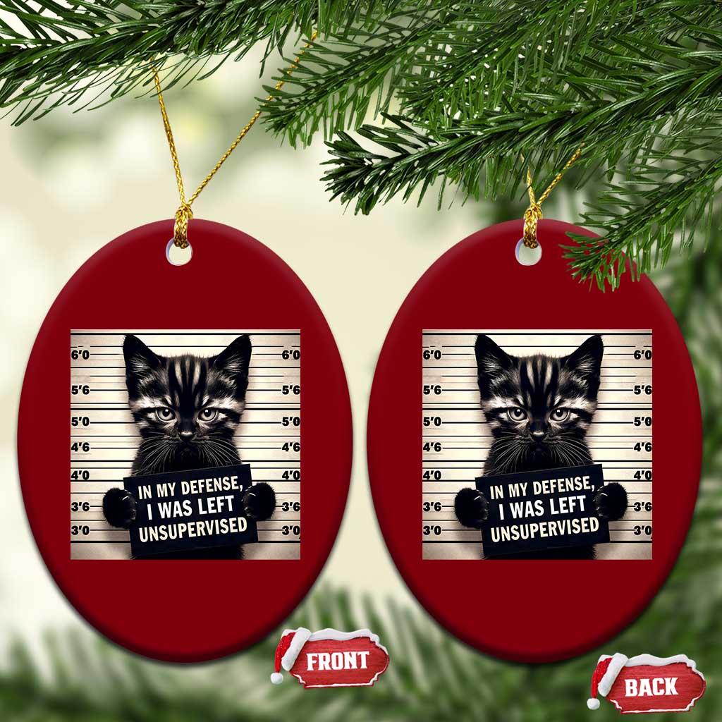 Funny Bad Cat Attitude Ceramic Ornament In My Defense I Was Left Unsupervised