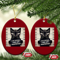 Funny Bad Cat Attitude Ceramic Ornament In My Defense I Was Left Unsupervised