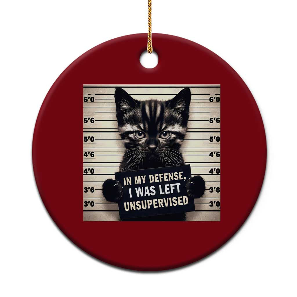 Funny Bad Cat Attitude Ceramic Ornament In My Defense I Was Left Unsupervised