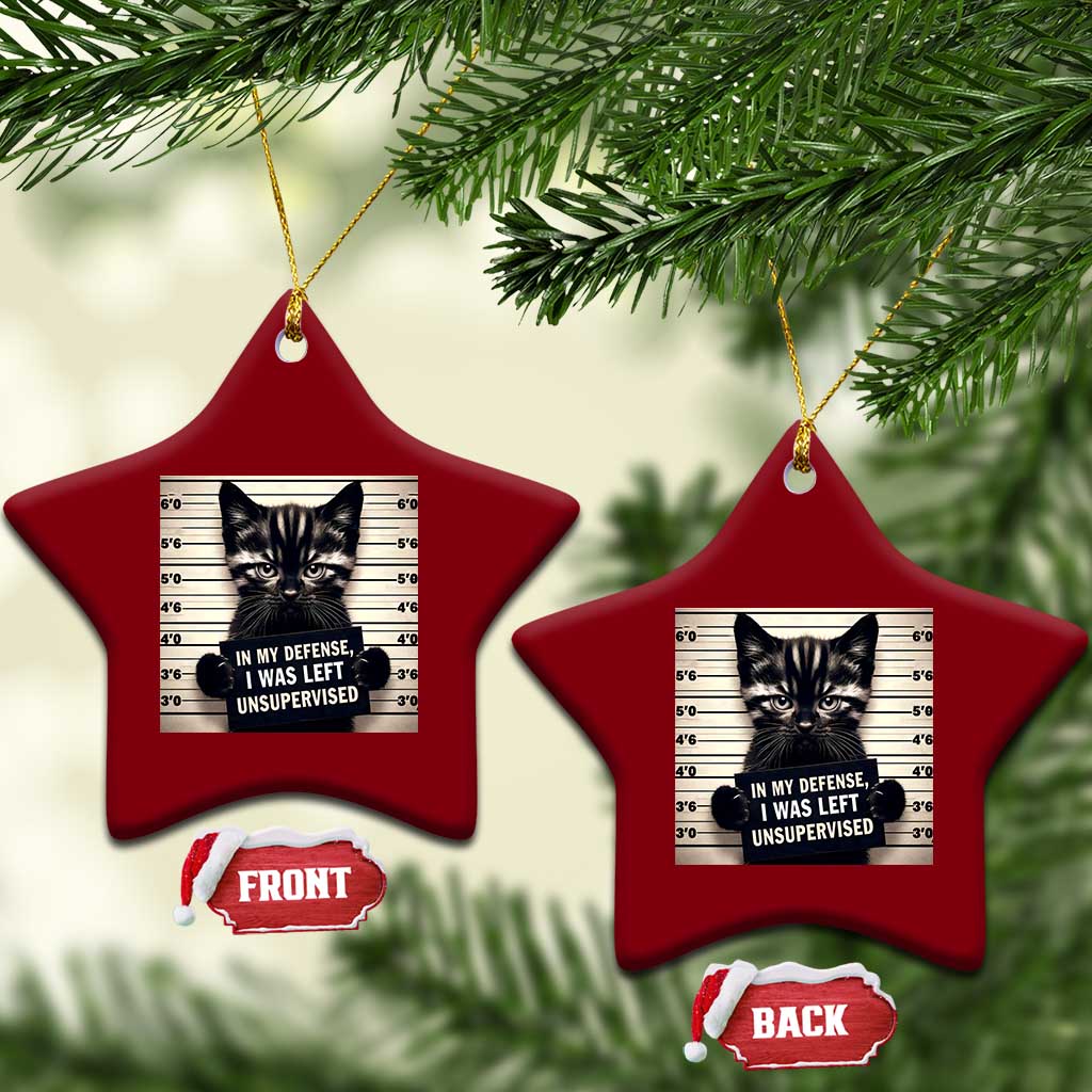 Funny Bad Cat Attitude Ceramic Ornament In My Defense I Was Left Unsupervised