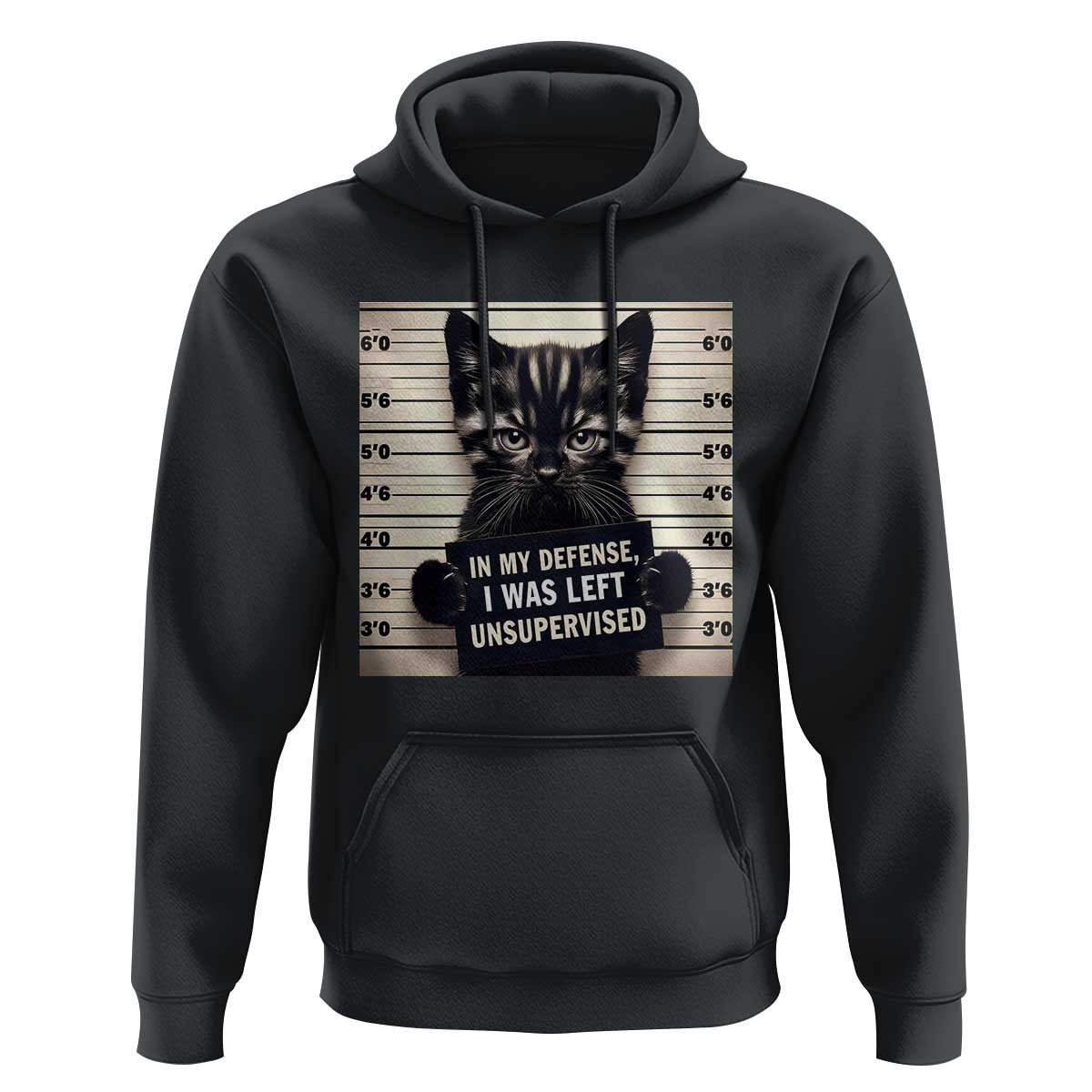 Funny Bad Cat Attitude Hoodie In My Defense I Was Left Unsupervised