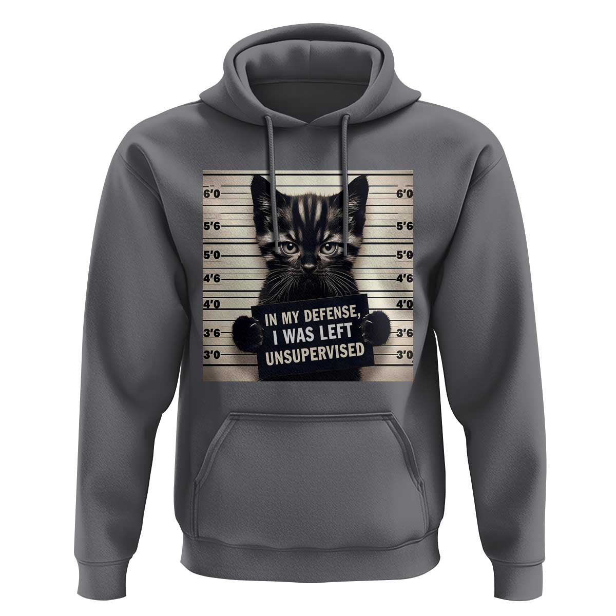 Funny Bad Cat Attitude Hoodie In My Defense I Was Left Unsupervised