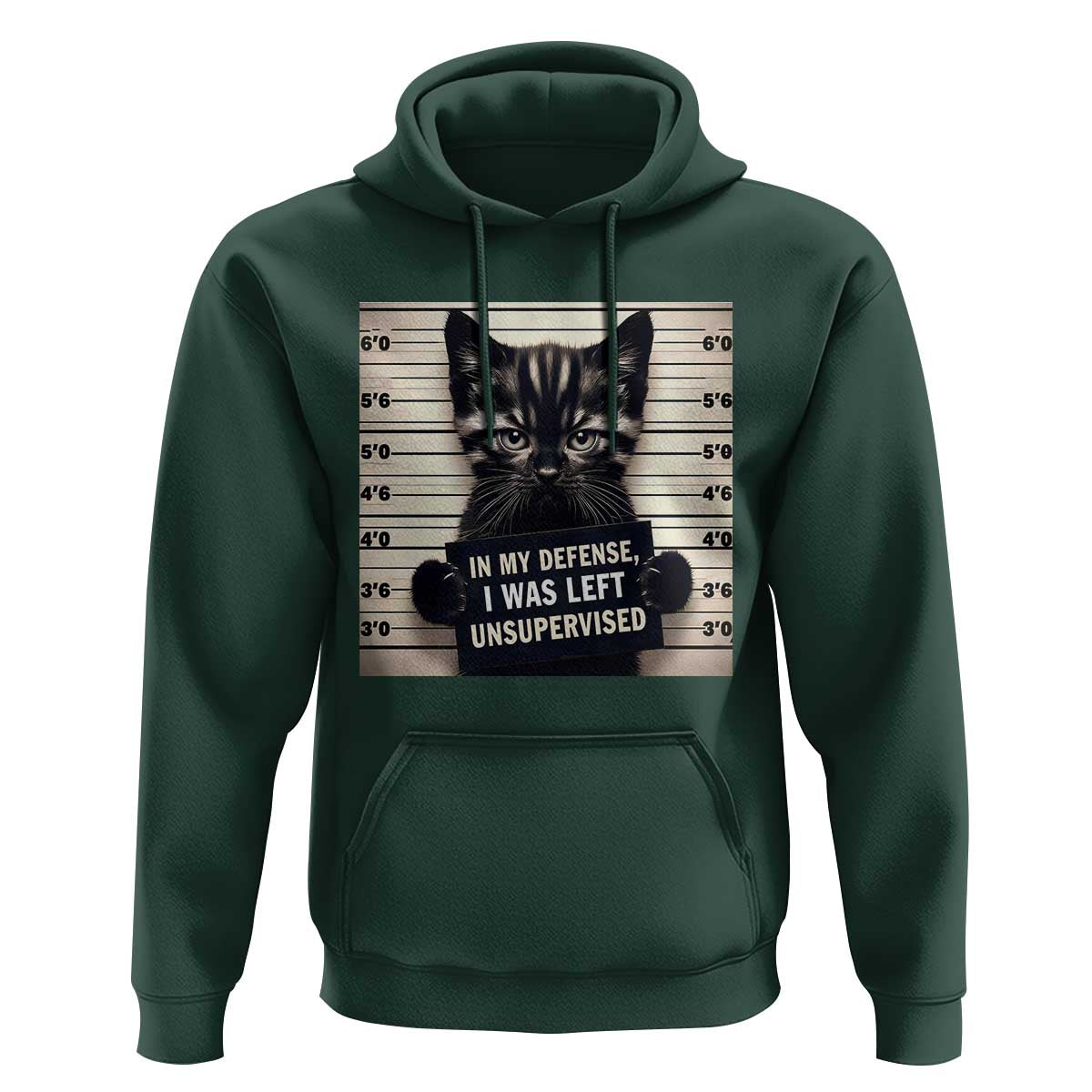 Funny Bad Cat Attitude Hoodie In My Defense I Was Left Unsupervised