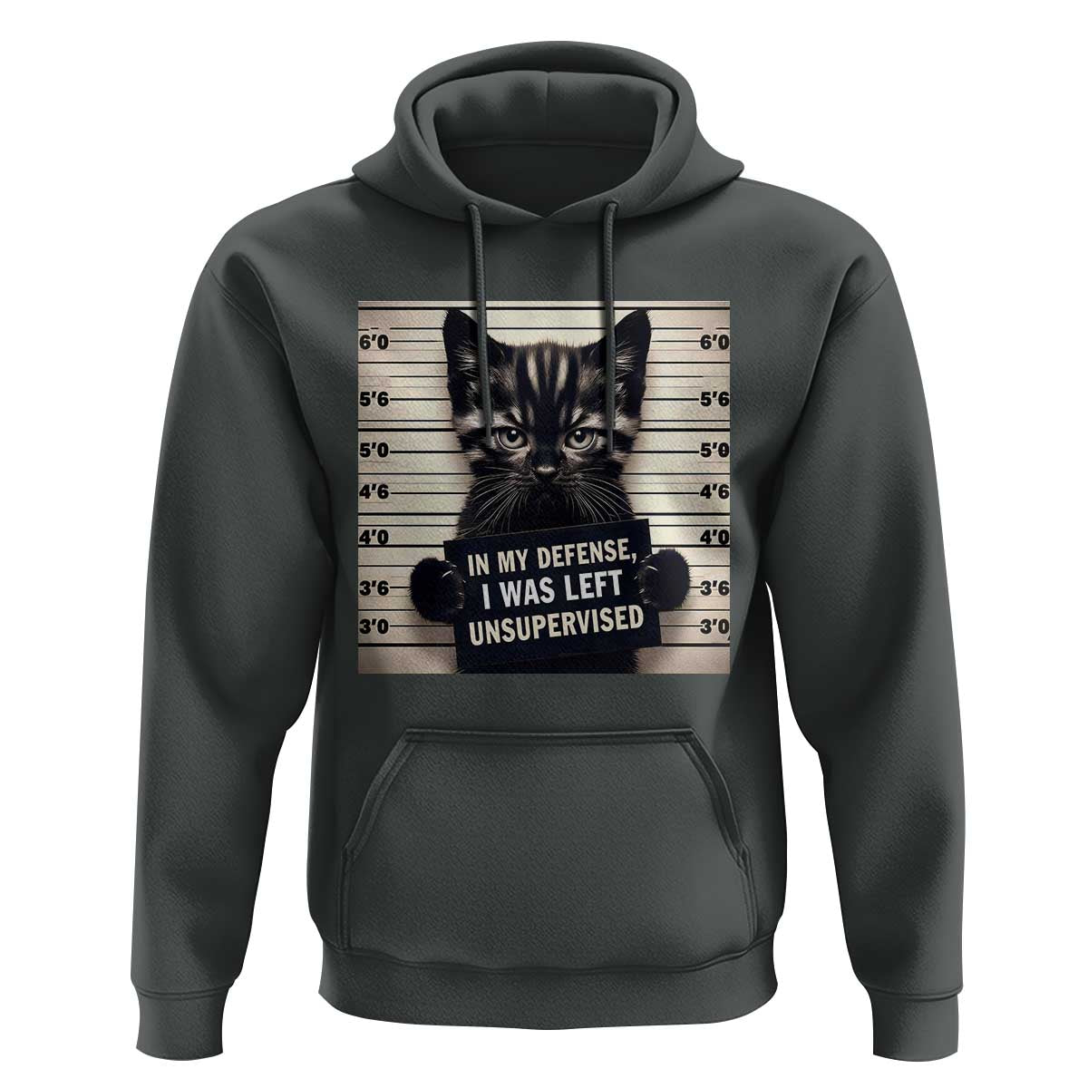 Funny Bad Cat Attitude Hoodie In My Defense I Was Left Unsupervised