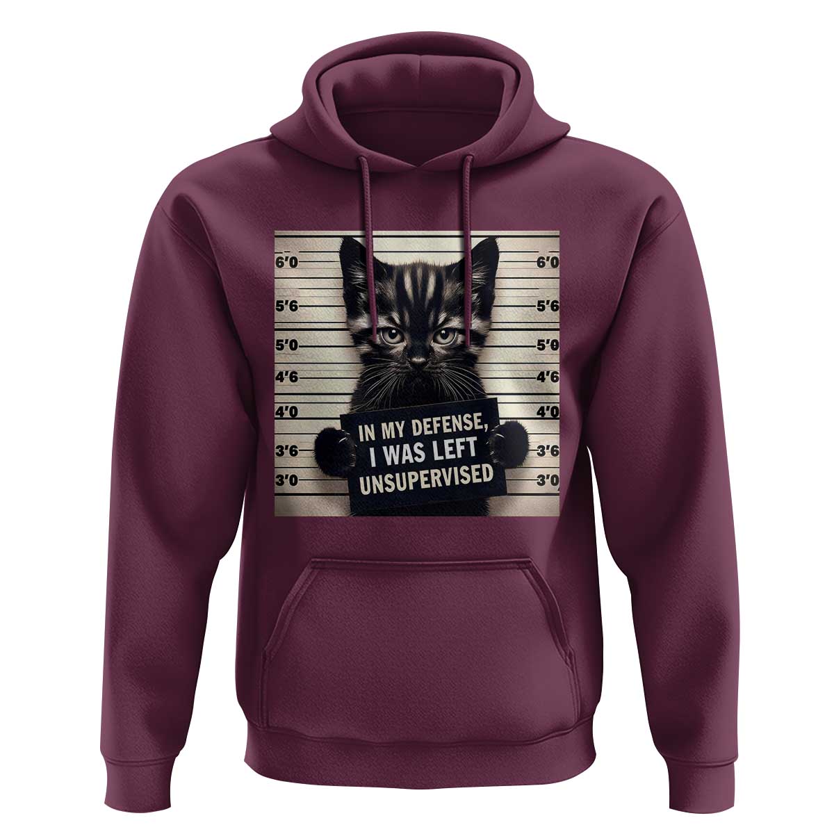 Funny Bad Cat Attitude Hoodie In My Defense I Was Left Unsupervised
