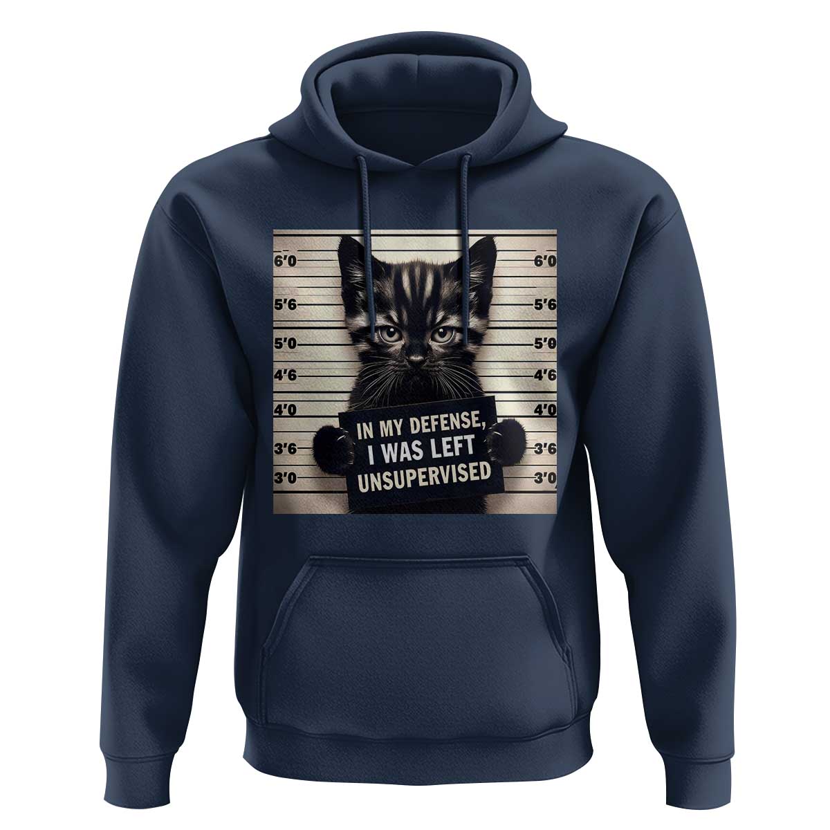 Funny Bad Cat Attitude Hoodie In My Defense I Was Left Unsupervised