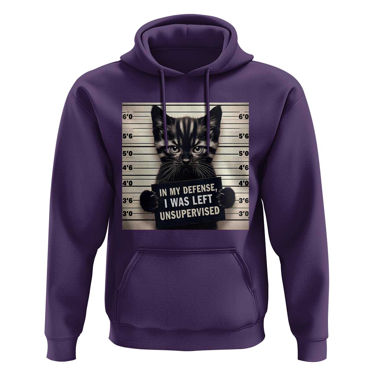 Funny Bad Cat Attitude Hoodie In My Defense I Was Left Unsupervised