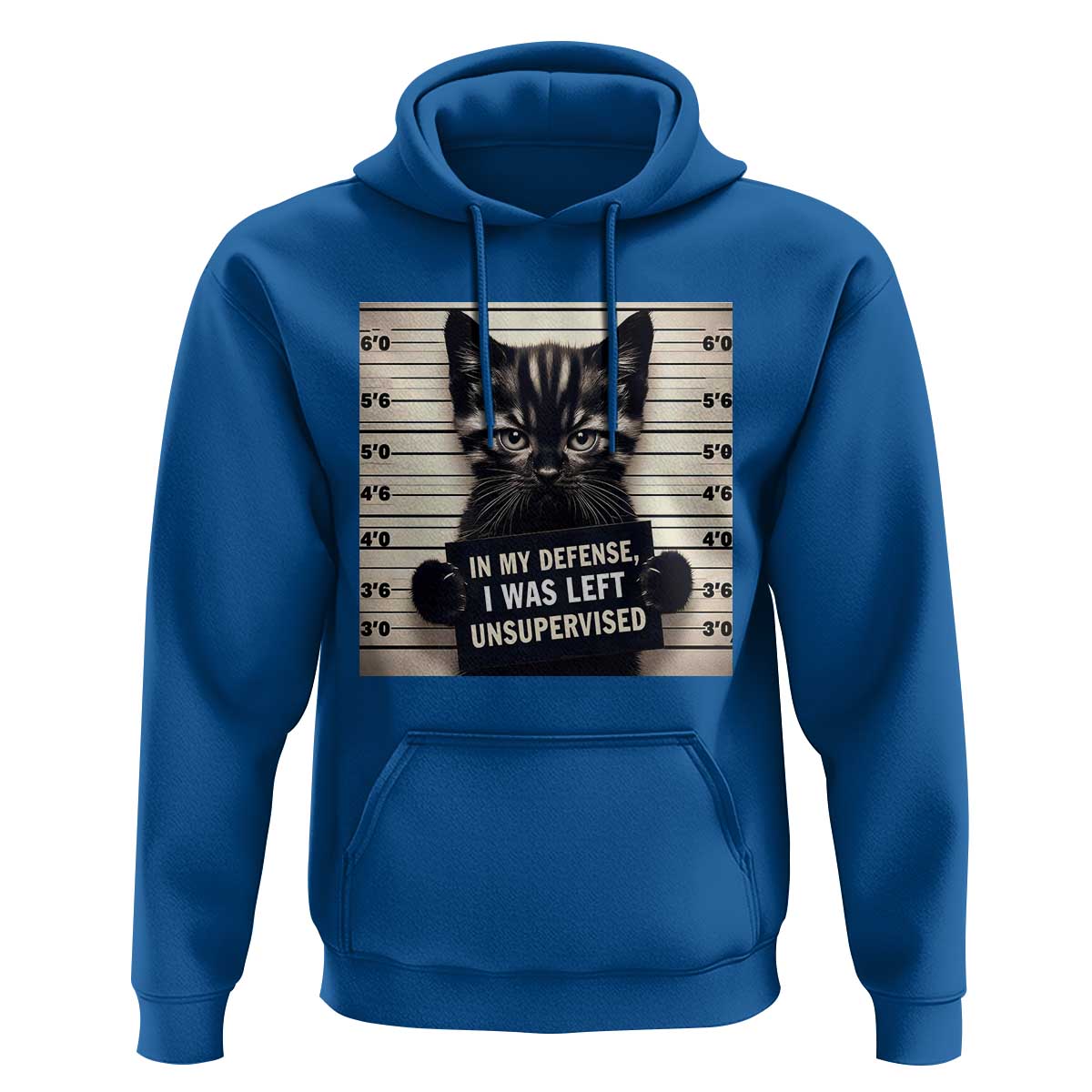 Funny Bad Cat Attitude Hoodie In My Defense I Was Left Unsupervised