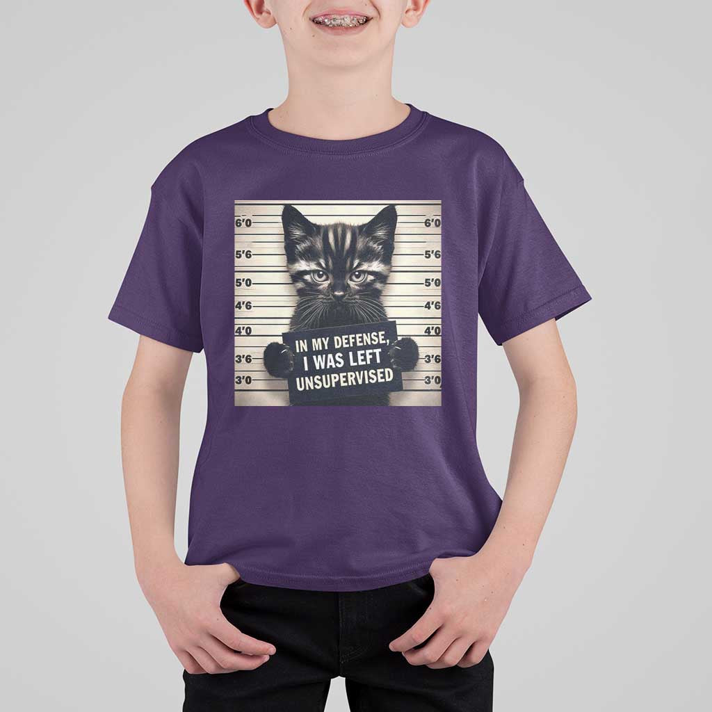 Funny Bad Cat Attitude T Shirt For Kid In My Defense I Was Left Unsupervised