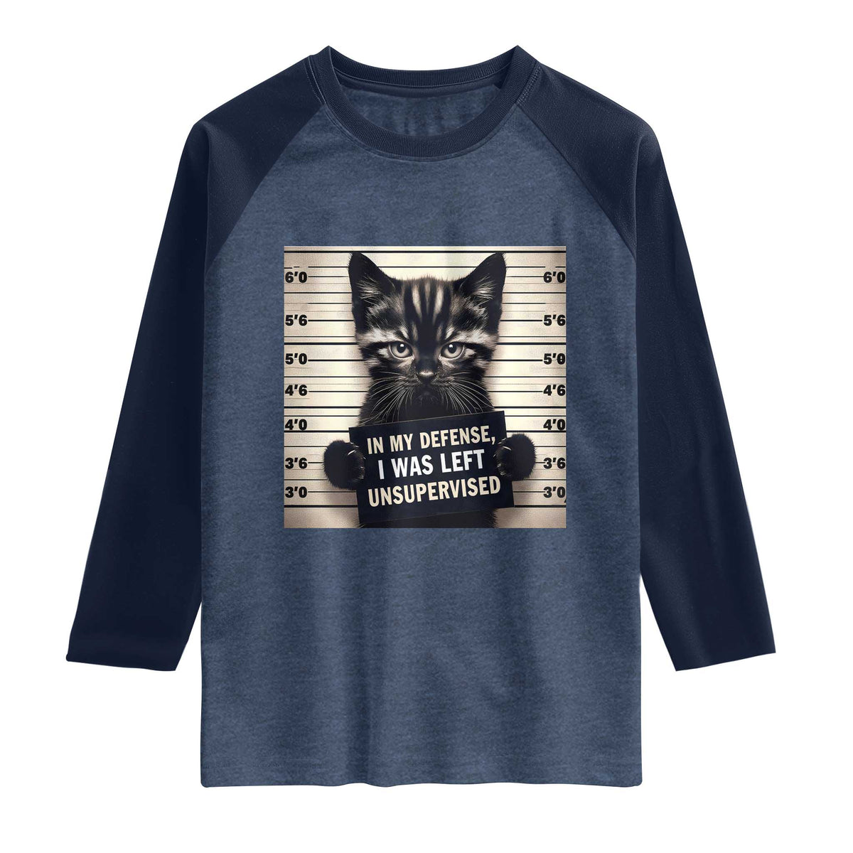 Funny Bad Cat Attitude Raglan Shirt In My Defense I Was Left Unsupervised