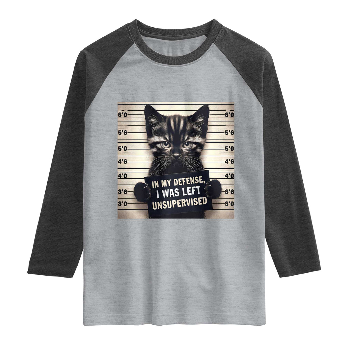 Funny Bad Cat Attitude Raglan Shirt In My Defense I Was Left Unsupervised