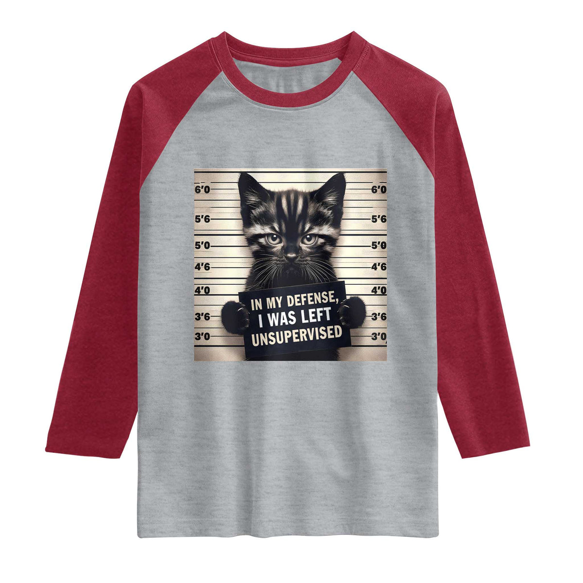 Funny Bad Cat Attitude Raglan Shirt In My Defense I Was Left Unsupervised