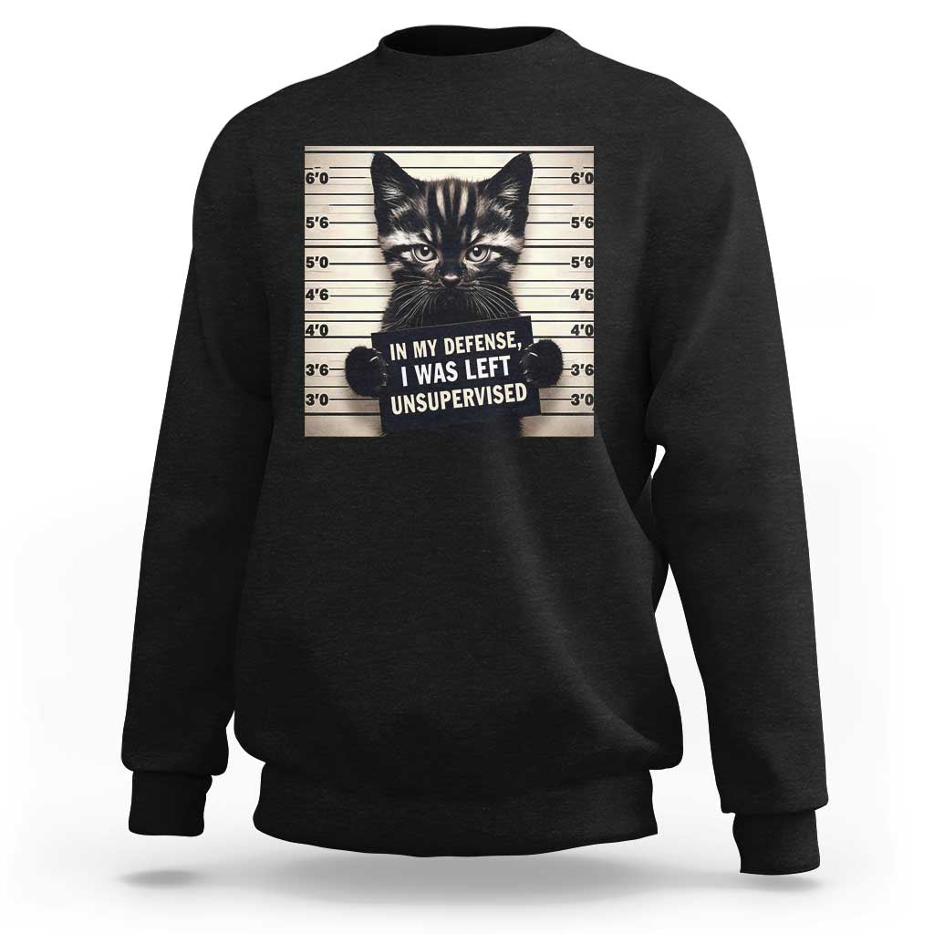 Funny Bad Cat Attitude Sweatshirt In My Defense I Was Left Unsupervised