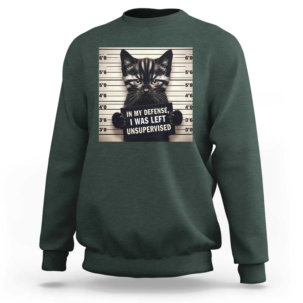 Funny Bad Cat Attitude Sweatshirt In My Defense I Was Left Unsupervised