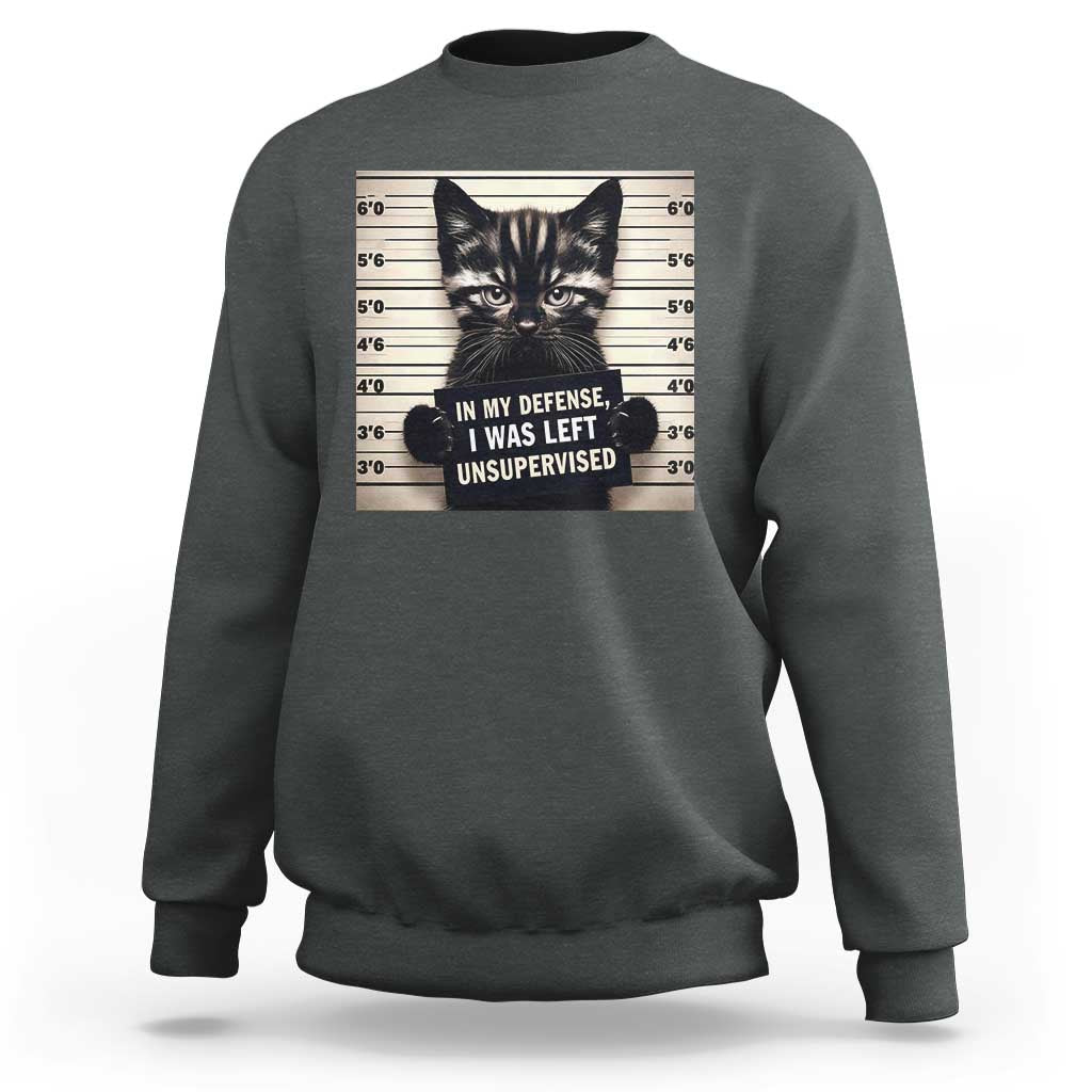 Funny Bad Cat Attitude Sweatshirt In My Defense I Was Left Unsupervised