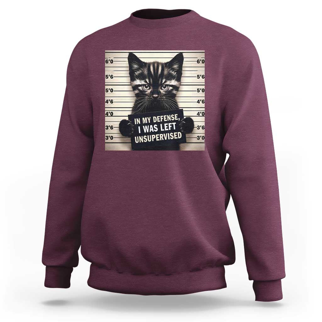 Funny Bad Cat Attitude Sweatshirt In My Defense I Was Left Unsupervised