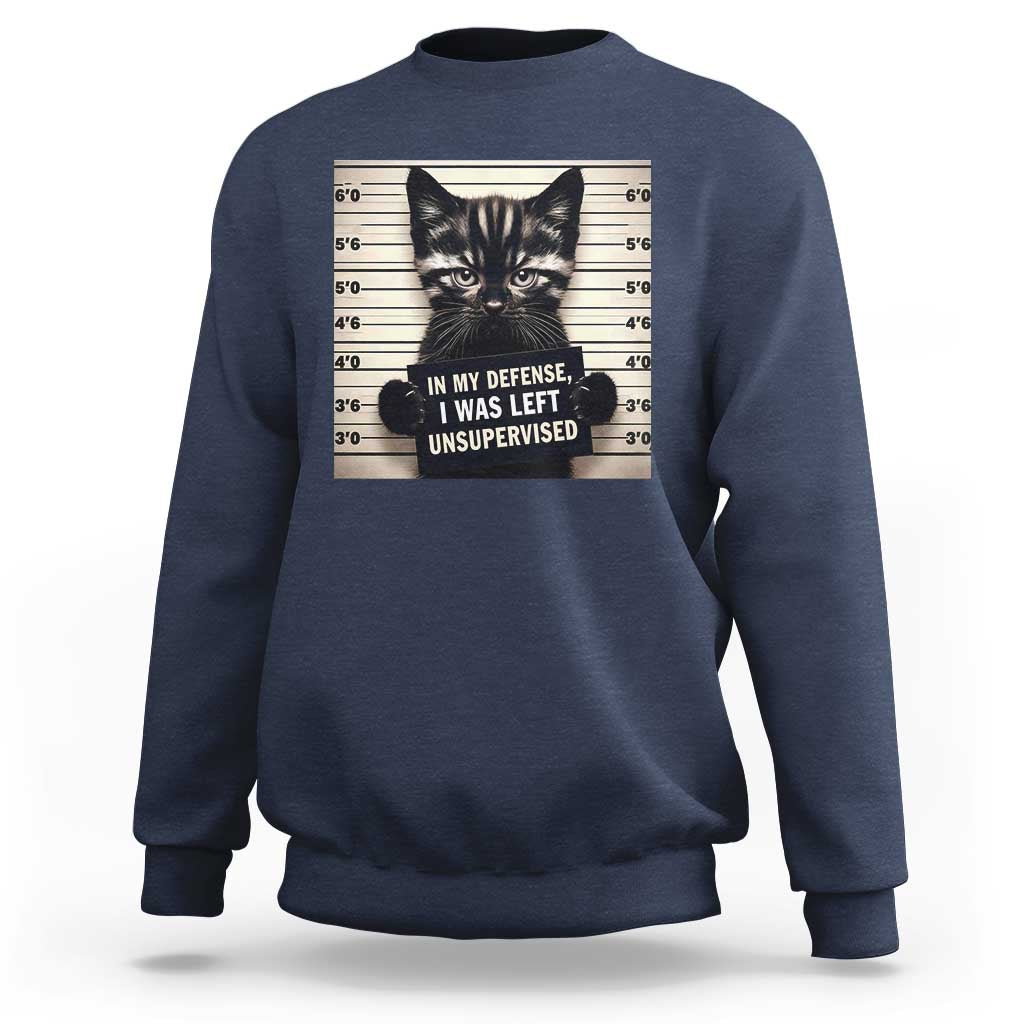 Funny Bad Cat Attitude Sweatshirt In My Defense I Was Left Unsupervised
