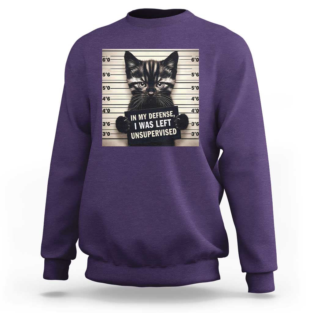 Funny Bad Cat Attitude Sweatshirt In My Defense I Was Left Unsupervised