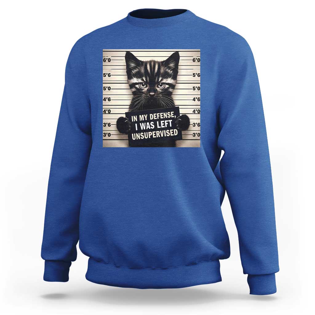 Funny Bad Cat Attitude Sweatshirt In My Defense I Was Left Unsupervised