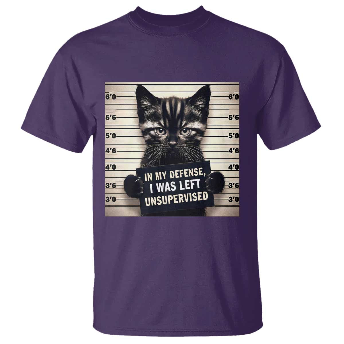 Funny Bad Cat Attitude T Shirt In My Defense I Was Left Unsupervised