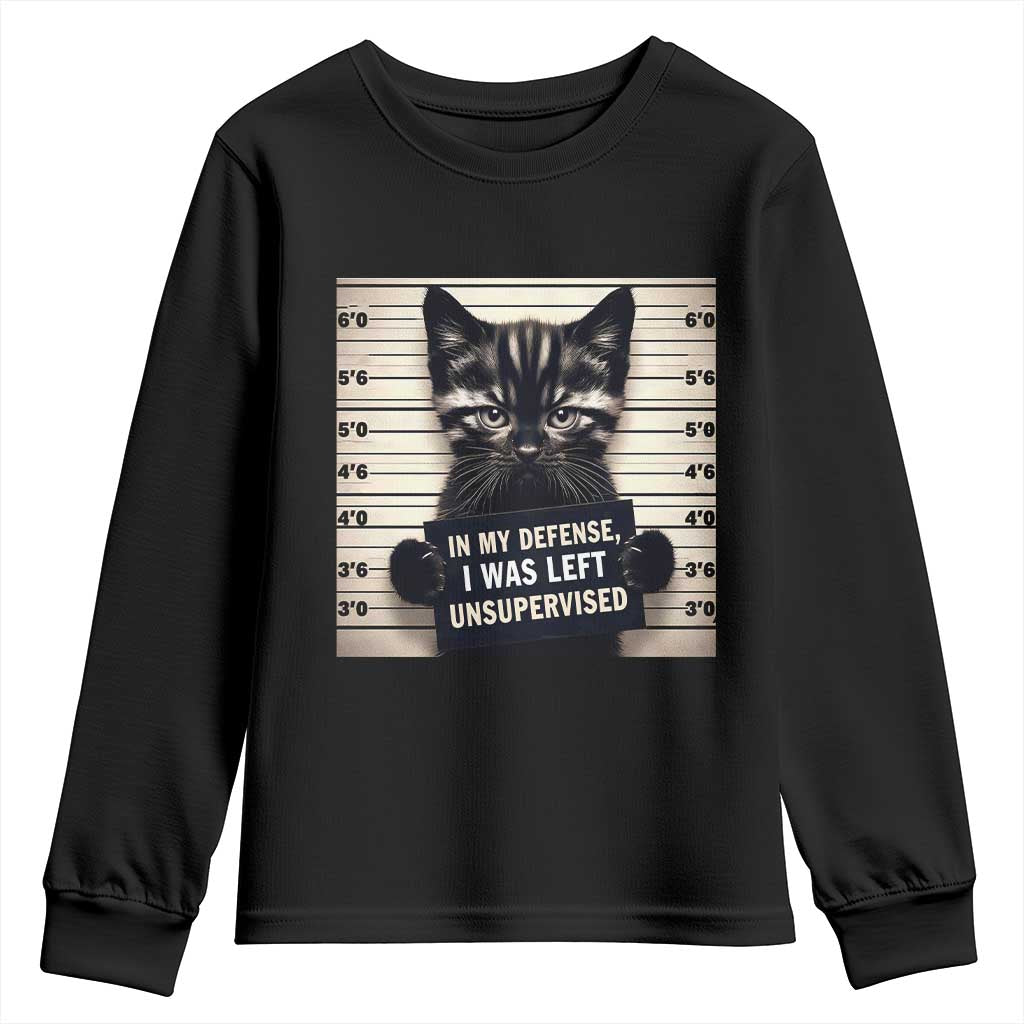 Funny Bad Cat Attitude Youth Sweatshirt In My Defense I Was Left Unsupervised